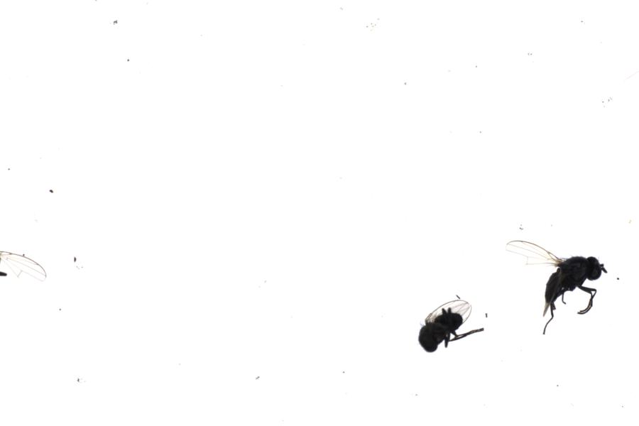 Image 107